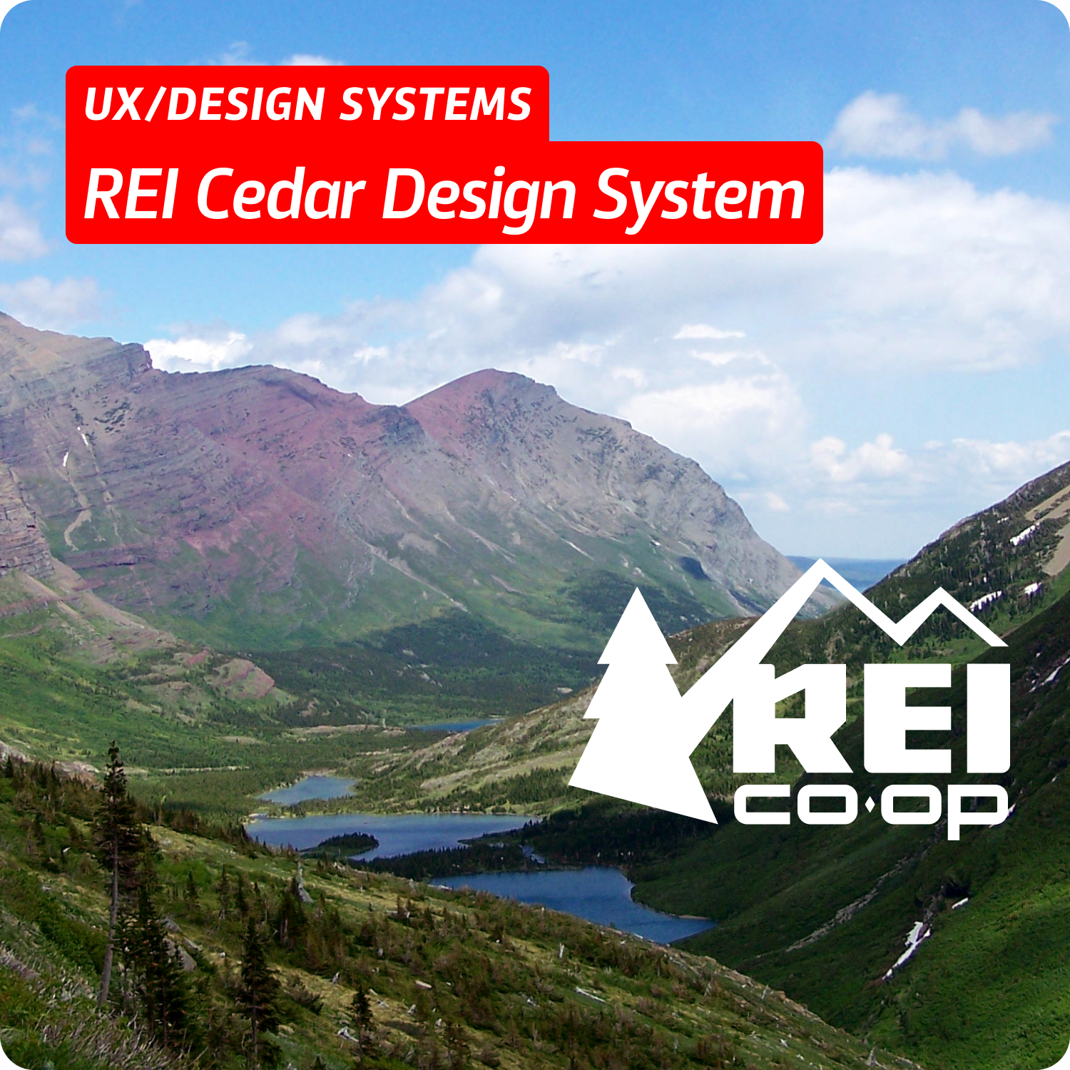 REI – Cedar Design System
