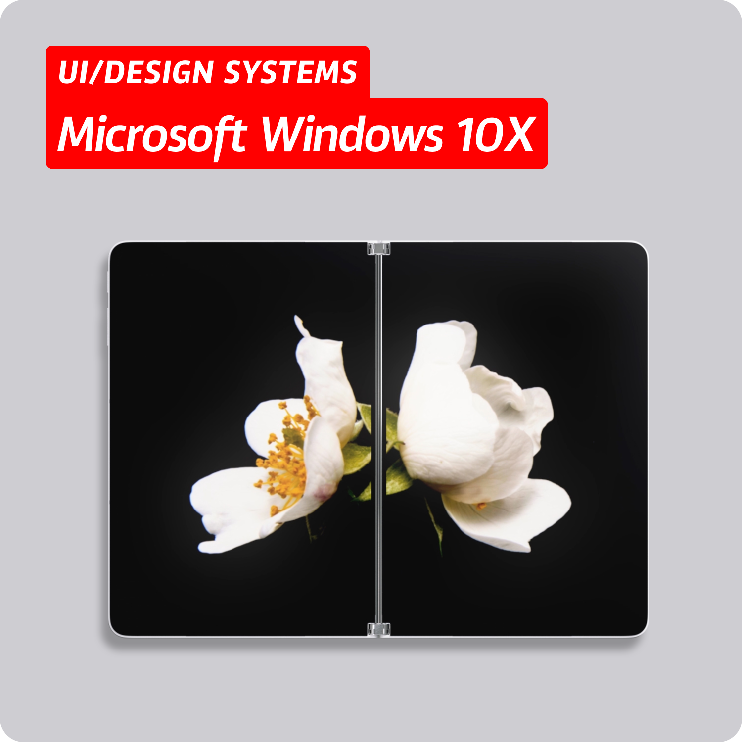 Microsoft Windows 10X